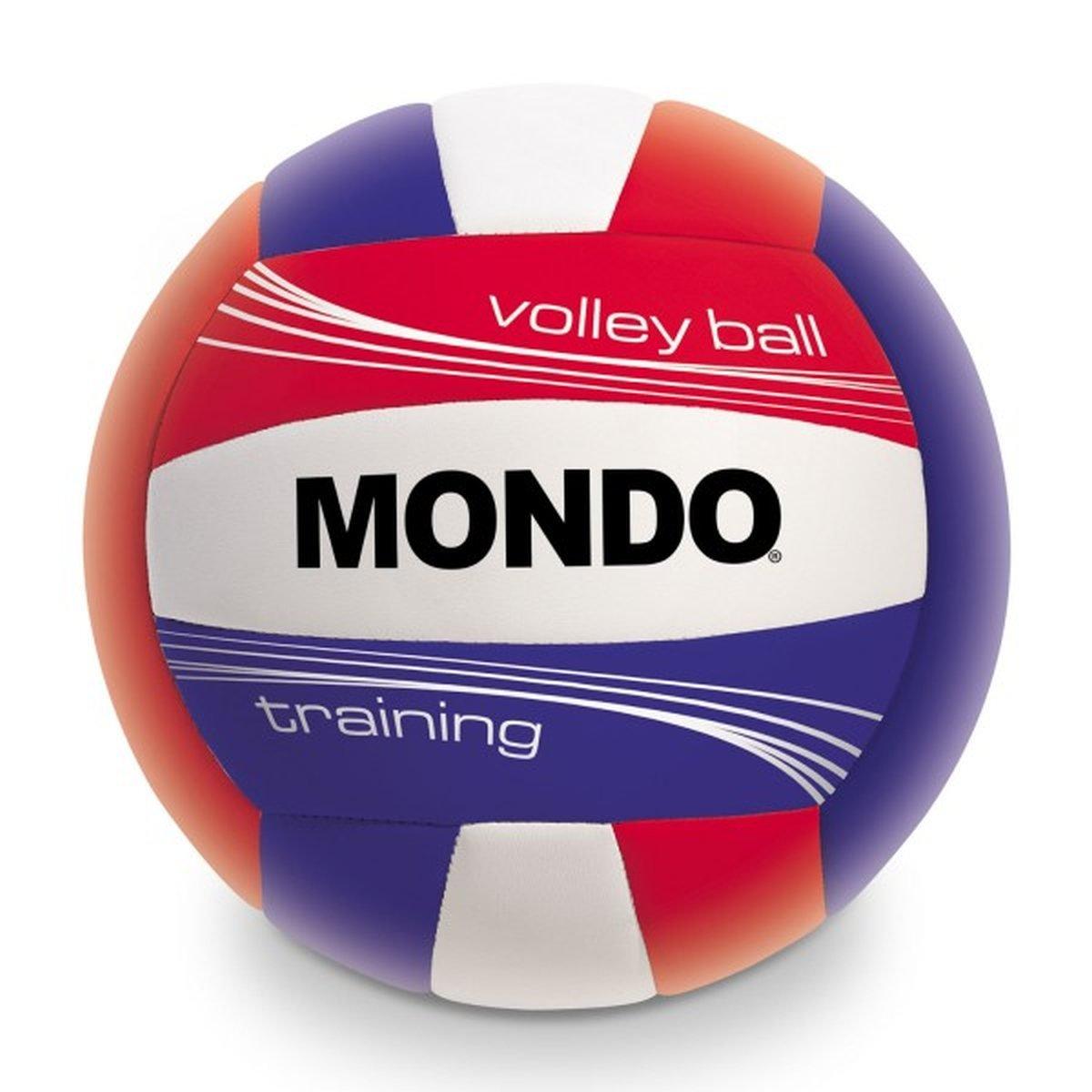 Pallone Volley Training