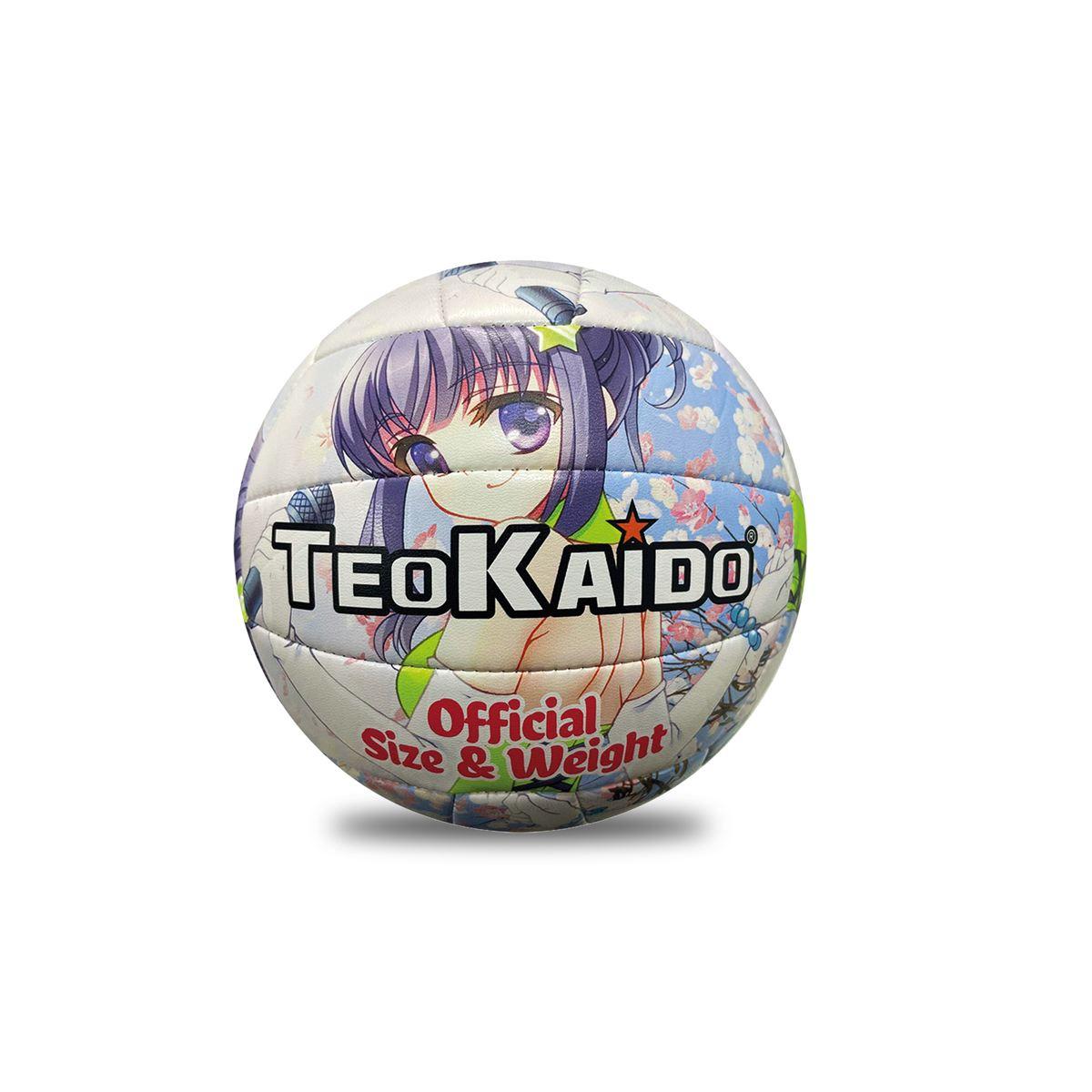 Pallone Volley Manga